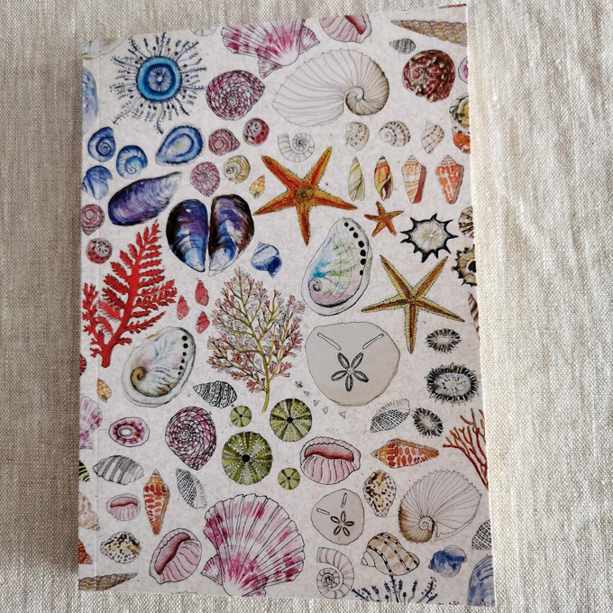 Seashells Journal from Urbankissed