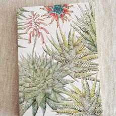 Succulents Journal via Urbankissed