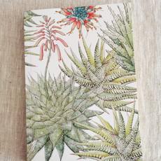 Succulents Journal via Urbankissed