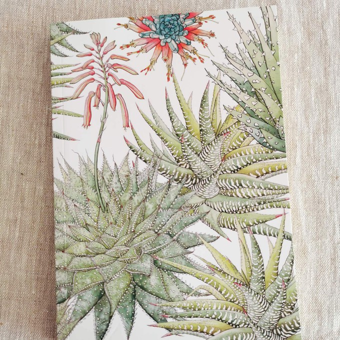 Succulents Journal from Urbankissed
