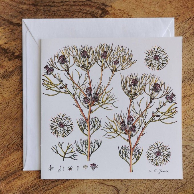 Single Fynbos Greeting Card from Urbankissed