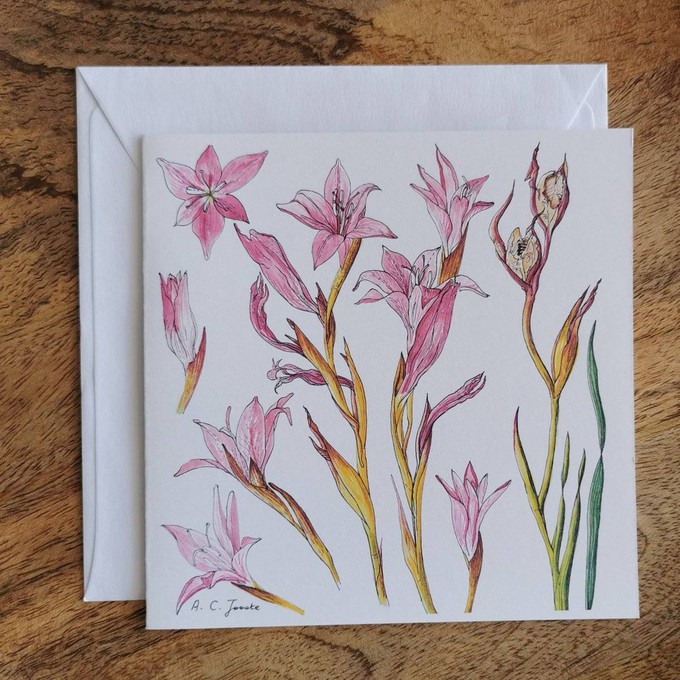 Single Fynbos Greeting Card from Urbankissed