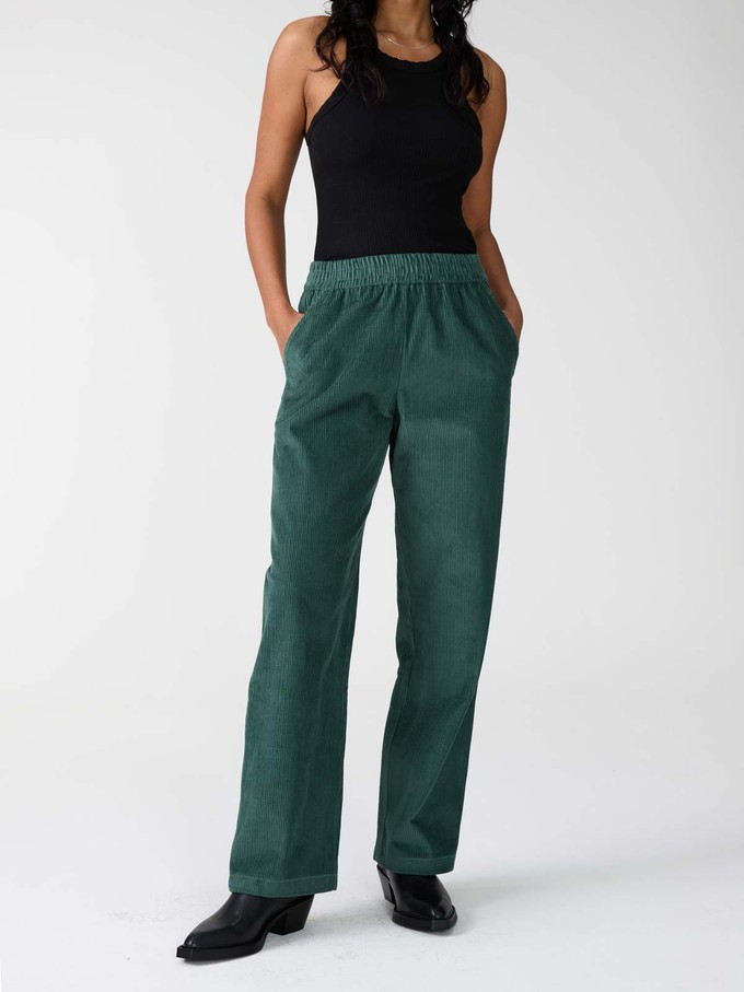 Marta Hose teal from Yahmo