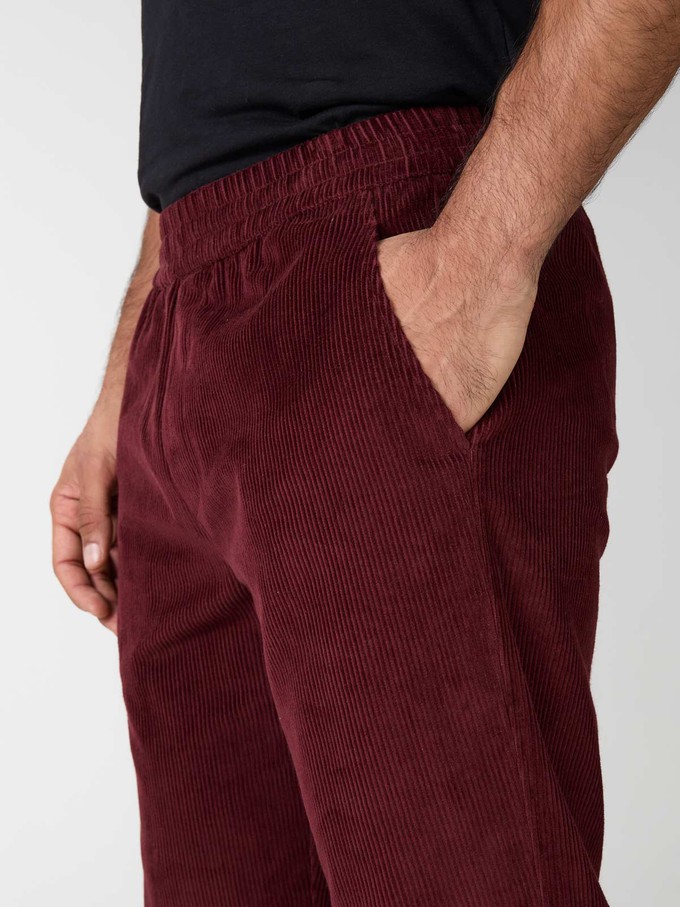 Otmar Hose weinrot from Yahmo