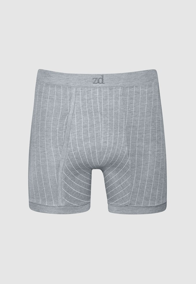Helios prinstriped fly front boxer from ZD ZERO DEFECTS