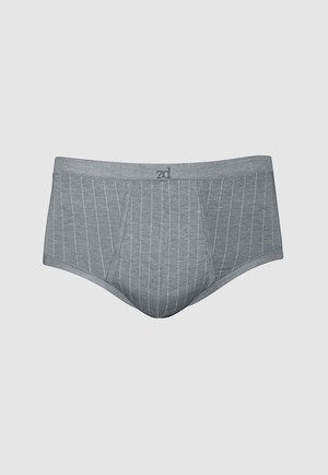 Senior pinstriped fly front brief from ZD ZERO DEFECTS