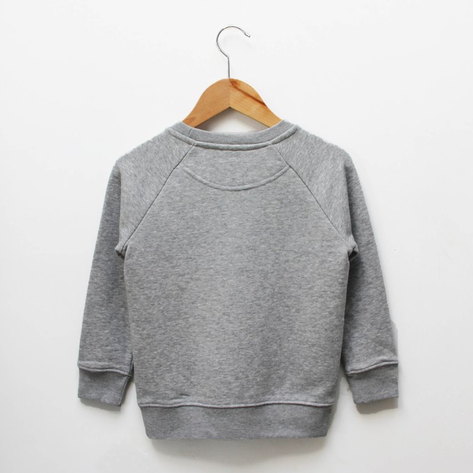 Kinder sweater ‘Baggy dog’ – Grey melange from zebrasaurus