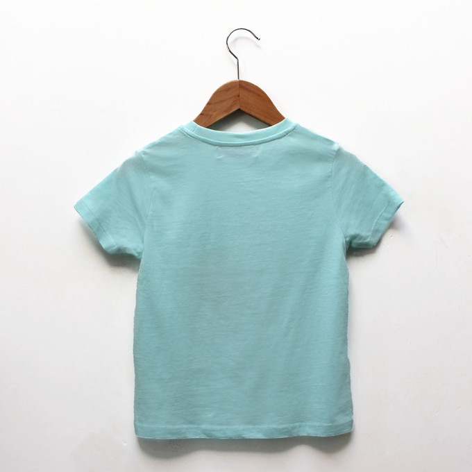 Kids t-shirt ‘Horse-d’oeuvre’ | Aqua from zebrasaurus