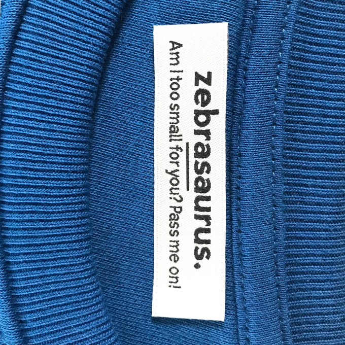 Kids sweater ‘Hippo Opticmistic’ | Blue from zebrasaurus