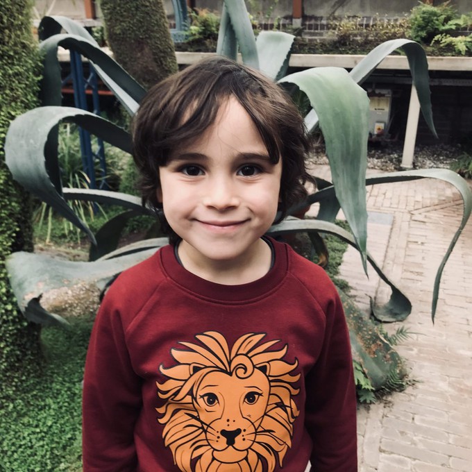 Kinds sweater ‘Oeh Lion’ – Burgundy from zebrasaurus