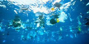 Unsere Meere sind die reinste Plastiksuppe